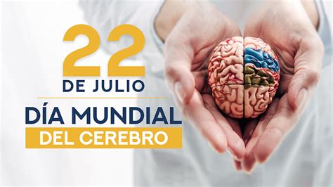 22 de Julio Día Mundial del Cerebro