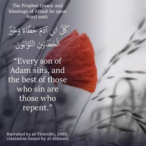 Every Son Of Adam Sins And The Best Of Those Who Sin Are Those Who