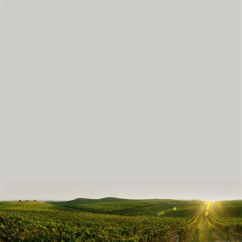 The Bionutrient Institute - Get Involved — The Bionutrient Institute ... 