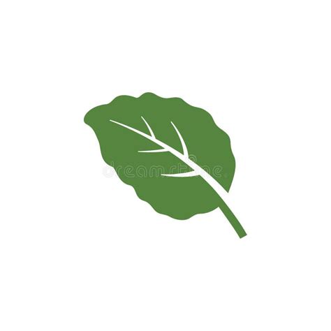 Icono Vectorial De Elemento De Hoja De Menta Símbolo Vectorial De Hojas