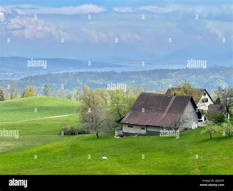 The Farm Buildings On Lush Green Hill With Forests In The Background