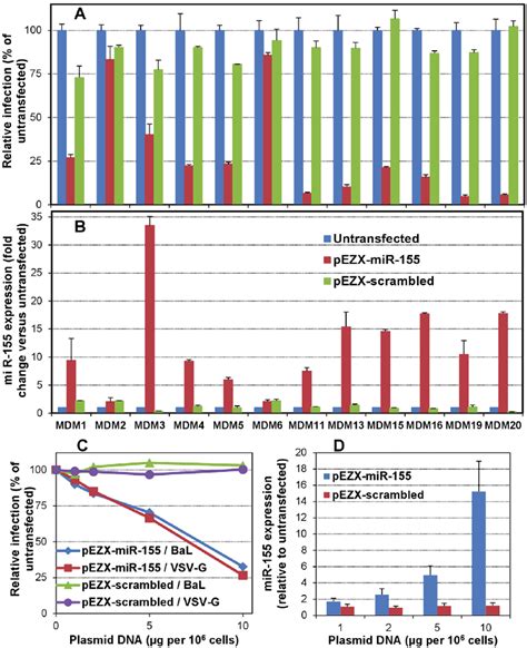 Mir 155 Over Expression In Primary Macrophages And Cell Lines Decreases