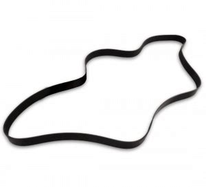 Navistar International MaxxForce 10 Serpentine Belt