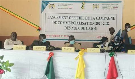 Campagne 2021 2022 La commercialisation des noix de cajou lancée à