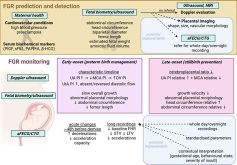 Frontiers Fetal Growth Restriction And Stillbirth Biomarkers For