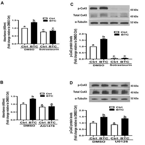 Effects Of Kinase Inhibitors On Btc Induced Increases In Pkc Activity