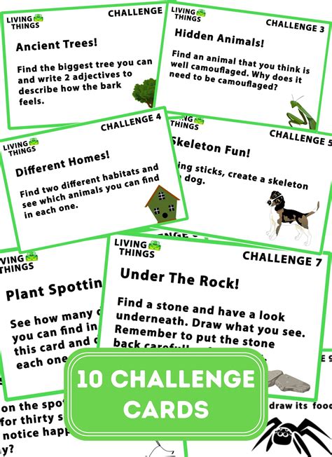 Living Things Outdoor Task Cards Educate Outside Outdoor Lesson Ideas For Teachers