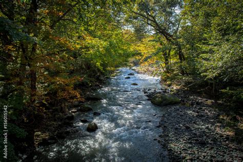 Idyllic nature of Oirase Gorge, Aomori, Japan Stock Photo | Adobe Stock