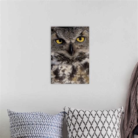 Owl Wall Art, Canvas Prints, Framed Prints, Wall Peels | Great Big Canvas