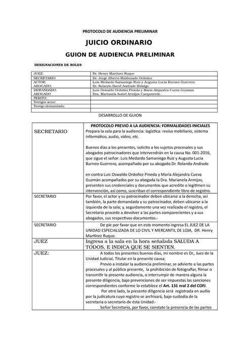 Ejemplo De Audiencia Preliminar Ordinario Protocolo De Audiencia