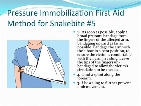 Ppt Bsa Troop 29 First Aid Training Powerpoint Presentation Free