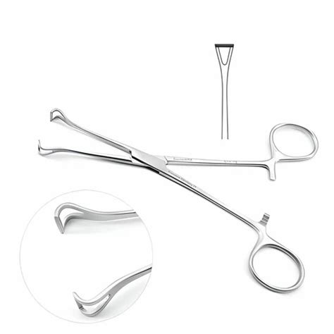 Stainless Steel Inch Babcock Forceps At Rs Piece In Pune