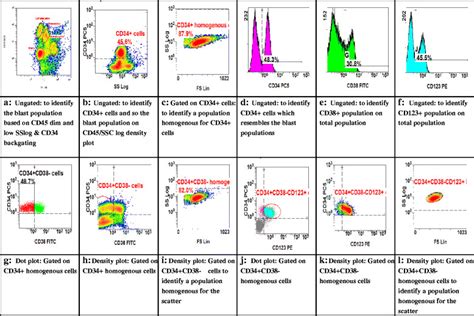 Gating Strategy In Newly Diagnosed AML To Identify CD34 CD38 CD123