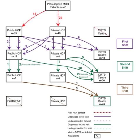 patient diagnostic  treatment pathway  scientific diagram