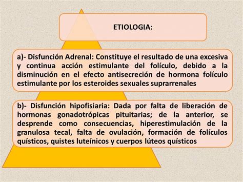 HIPER ESTROGENISMO UNIVERSIDAD JU Á REZ AUT Ó NOMA DE TABASCO DIVISI Ó