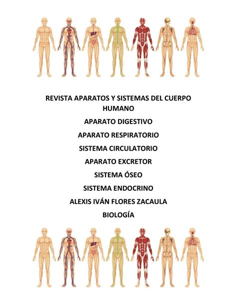 Diferentes Aparatos Del Cuerpo Humano