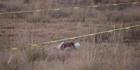 Fotos Hallan A Mujer Semidesnuda Y En Estado De Putrefacci N En San