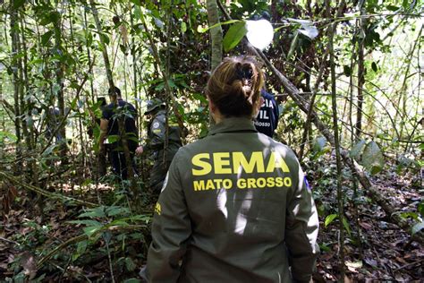 Governo de MT já aplicou R 303 milhões em multas por crimes ambientais