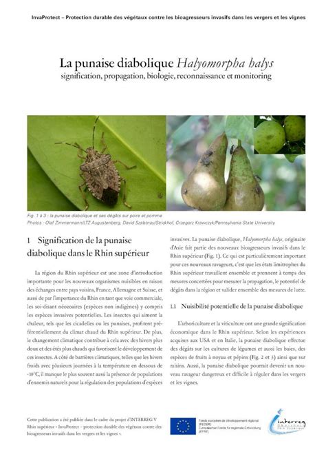 PDF La Punaise Diabolique Halyomorpha Halys 2018 11 16 La Pu