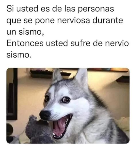 Si Usted Es De Las Personas Que Se Pone Nerviosa Durante Un Sismo