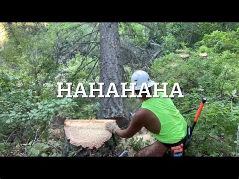 Cutting Timber I ALMOST SMASHED MY SAW YouTube