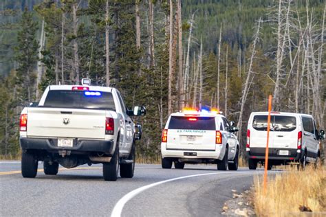 Una Tragedia En Fall City Cinco Muertos Incluidos Tres Niños