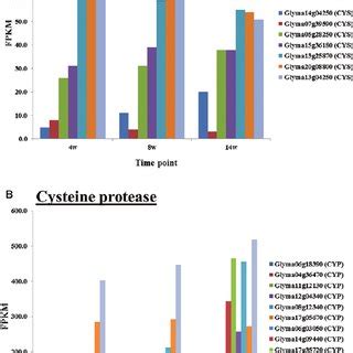 Inhibition Of Cysteine Protease Action On Proteins Causing Protein