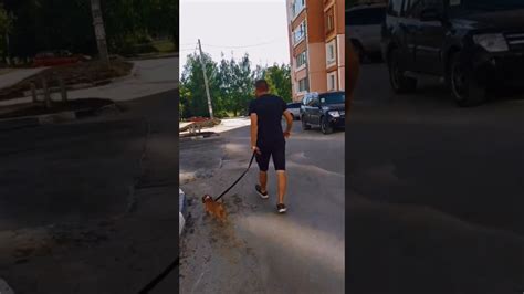 Физрука вызывали?😂 - YouTube