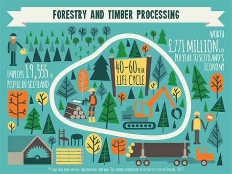 Forestry Infographic Muckle Hen