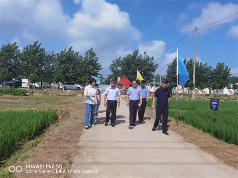 连云港市农业农村局 省农业技术推广总站站长杨洪建一行来灌南县调研秋粮生产