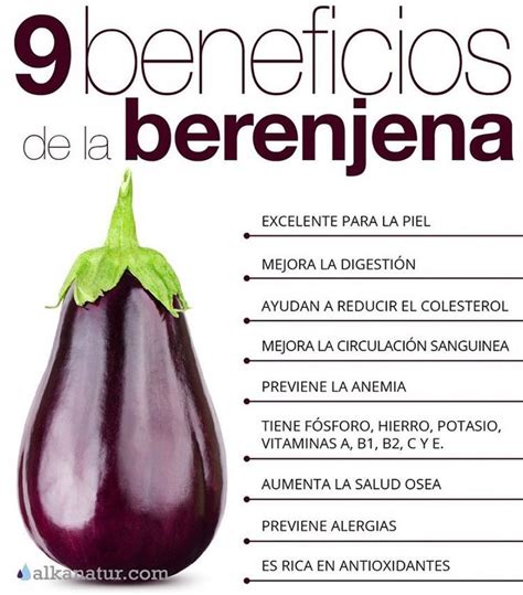 Vive Sano S Fel Z On Instagram Beneficios De La Berenjena