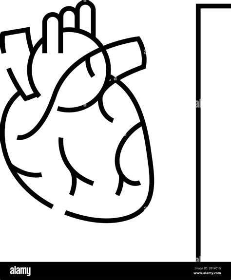 Internal Organ The Heart Line Icon Concept Sign Outline Vector Illustration Linear Symbol