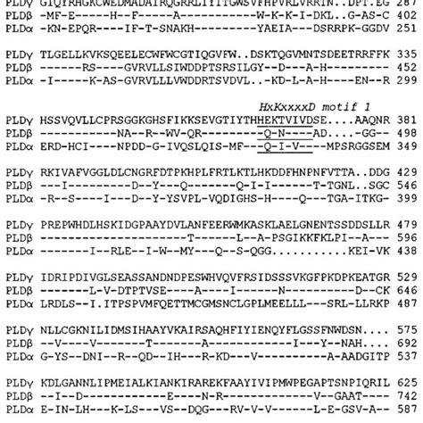 Amino Acid Sequence Alignment And Domain Structures Of Arabidopsis