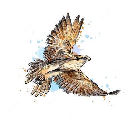 Premium Vector | Falcon in flight from a splash of watercolor, hand ...