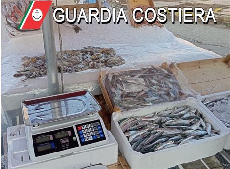 Capitaneria Pesce Non Tracciato Sequestri E Multe Nel Palermitano