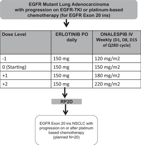 Erlotinib And Onalespib Lactate Focused On EGFR Exon 20 Insertion Non