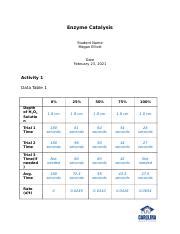 Assignment Sheet Enzyme Docx Enzyme Catalysis Student Name Megan