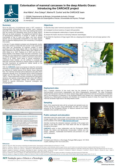 Pdf Colonization Of Mammal Carcasses In The Deep Atlantic Ocean