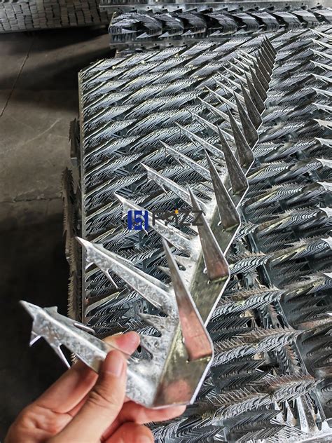 Easy To Install Hot Dipped Galvanized Security Razor Wall Spikes For