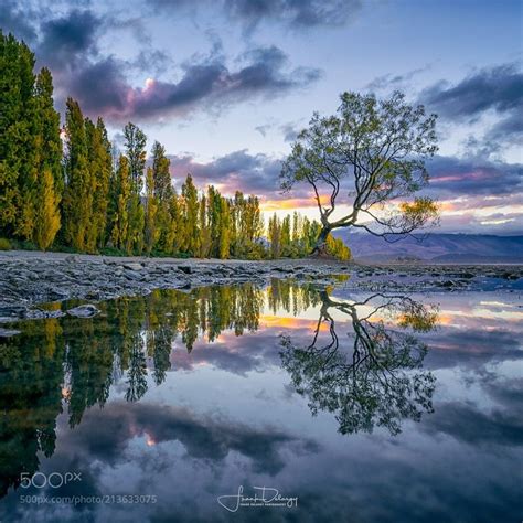 In A Puddle Frankdelargy 500px Beautiful Landscapes Sunset Rose