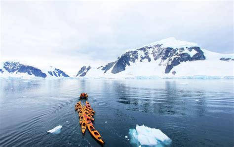 11-Day South Shetland Islands and Antarctic Peninsula Cruise Aboard the ...