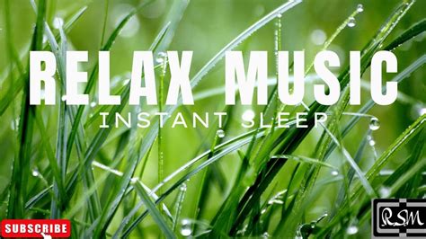 Instant Calm Beautiful Relaxing Piano Music With Rain And Bird Sounds