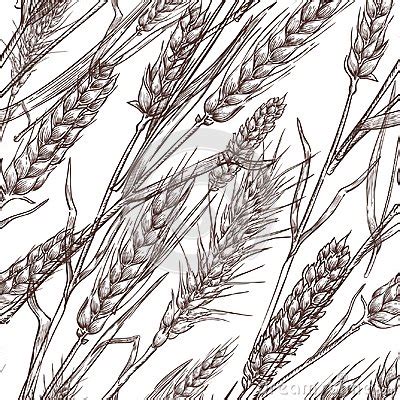 Wheat Cereal Spikelets Vector Seamless Pattern Sketch Hand Drawn