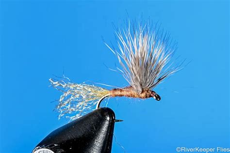 Sparkle Dun Mayfly Riverkeeper Flies