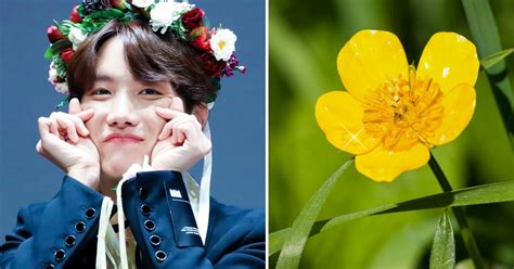 These Are Bts Members Birth Flowers And Their Symbolism Will Make You