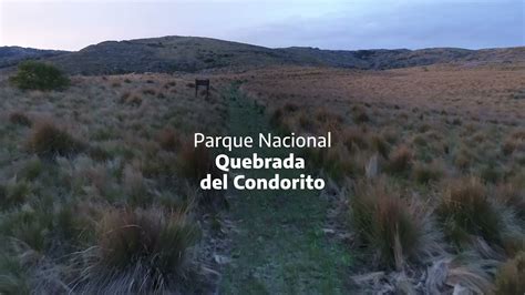 PARQUE NACIONAL QUEBRADA DEL CONDORITO YouTube