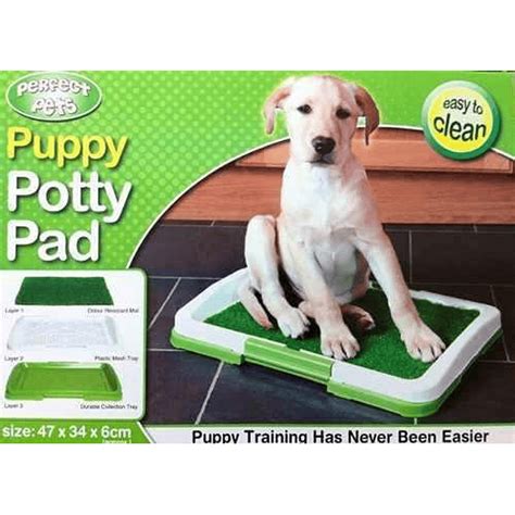 Baño Ecológico para perros y mascotas. Puppy Potty Pad/ p...