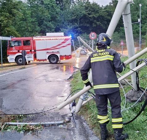 Pavia Temporale E Raffiche Di Vento Danni E Alberi Caduti In Strada