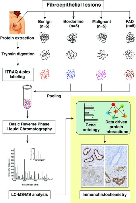 Schematic Workflow For The Identification Of Differentially Expressed