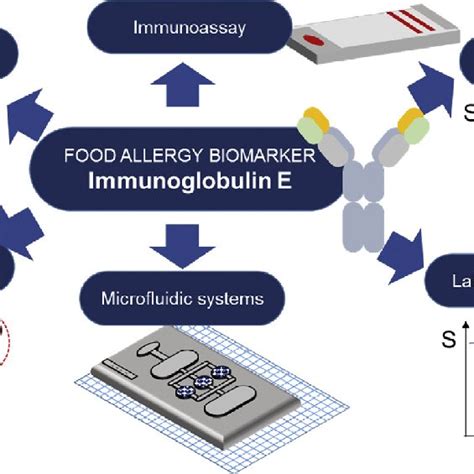 Pdf Biosensors For Food Allergy Detection According To Specific Ige Levels In Serum